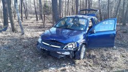 Rozbity Opel Corca koloru granatowego, po wypadnięciu z drogi stoi na poboczu na tle lasu
