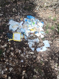 Miejsce znalezienia śmieci w lesie. Rozrzucone opakowania papierowe, butelki PVC oraz inne opakowania.