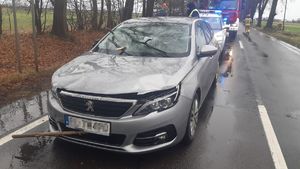Stojący na jezdni samochód uszkodzony przez spadające gałęzie. Za samochodem widoczny radiowóz Policji oraz wóz strażacki.