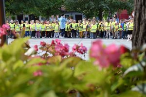 Akcja ODBLASKOWY MALUCH zorganizowana na wolsztyńskim Rynku. Dzieci w żółtych kamizelkach widziane zza rosnącej na Rynku roślinności.