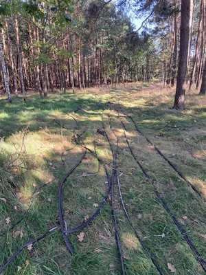 Przewody telekomunikacyjne leżące w lesie